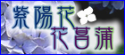 愛媛・松山あじさいと菖蒲の名所特集