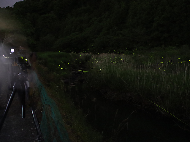 東温市雨滝ほたるの里の写真